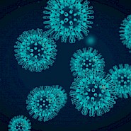 Coronavirus: welke maatregelen neemt Basalt?