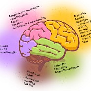 Brain Awareness Week: Breinvriendelijke Samenleving