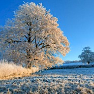 Code oranje – sneeuw