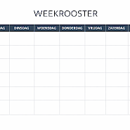Uw afsprakenrooster voor de komende 2 weken ontvangt u per post